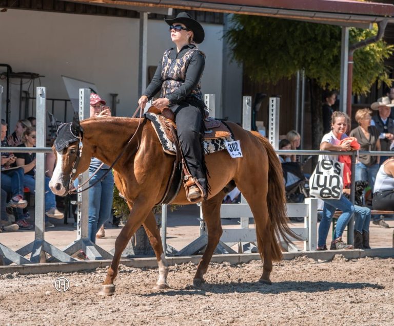 Inhaberin der Praxis auf dem Turnier während der Pleasure Prüfung